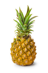 Wall Mural - Ripe pineapple