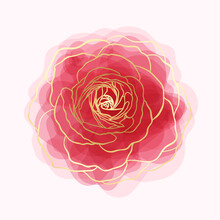 Beautiful Rose Watercolor Imitation Hand-painted With Golden Outline Isolated On White Background