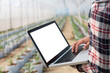 © Tinnakorn - Agriculture technology concept man Agronomist Using a Laptop in an Agriculture Field read a report, Plant analysis and research