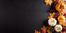 Thanksgiving Background Decoration From Dry Leaves,red Berries And Pumpkin On Blackboard Background. Flat Lay, Top View For Autumn, Fall, Thanksgiving Concept.