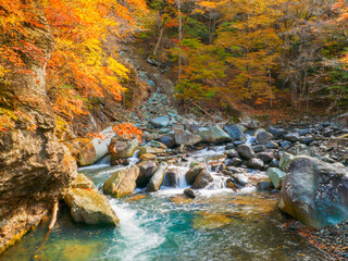 River flowing through a valley with autumn leaves (Tochigi, Japan)