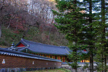 Wall Mural - The beautiful folige of autumn color mountain  under the eaves of the temple.