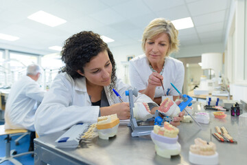 Wall Mural - process of making a dental prosthesis in a dental laboratory