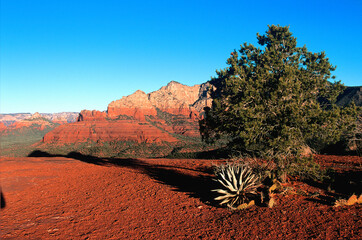 Mitten Ridge looking to Secret Mountain in deep background with Steamboat Rock mid image in Secret Mountain Wilderness Area, Sedona, Arizona, USA