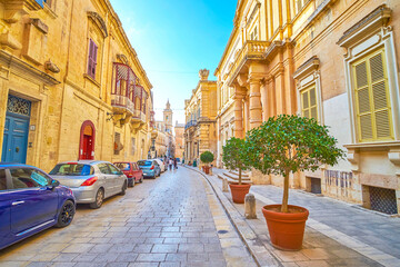 Wall Mural - The old street in Mdina fortress, Malta