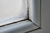 Fototapeta  - Mold fungus and moist on window frame and on glass