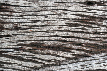 background of old wood grain