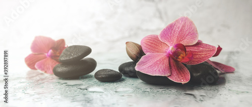 alternative therapy. orchid flowers with black stones on marble background. banner © ronstik