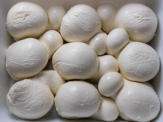 mozzarella fior di latte, typical cheese of southern Italy produced with buffalo milk