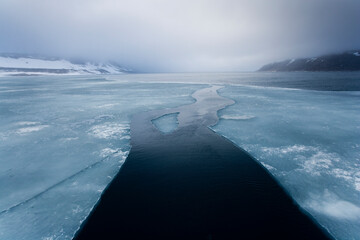Wall Mural - sea ice, svalbard, norway