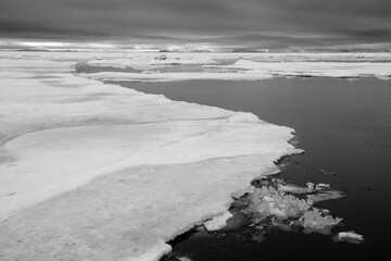 Wall Mural - Sea Ice, Svalbard, Norway