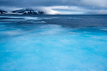 Wall Mural - sea ice, svalbard, norway