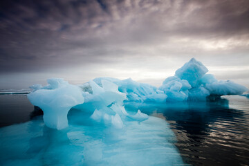 Wall Mural - melting sea ice, svalbard, norway