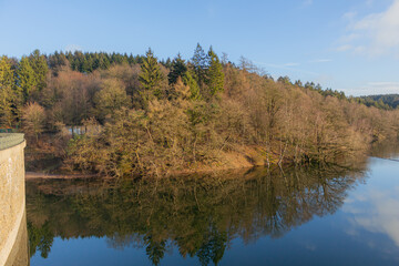 Trees and forests at a lake during midday sunlight in winter