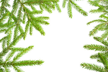  Natural frame of fresh green spruce branches on a white background, isolate. Christmas, new year, Christmas tree. Copy space