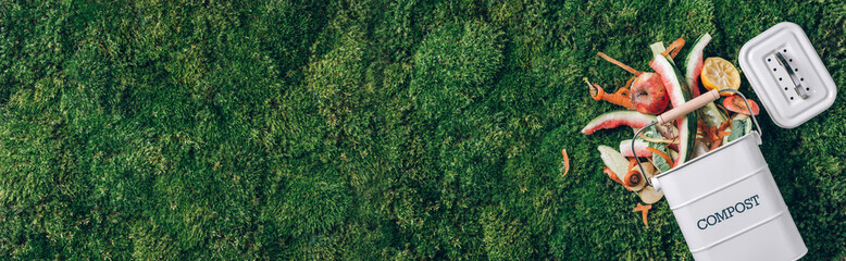 Wall Mural - Sustainable, zero waste living. Vegetable waste in recycling compost pot. Top view. Copy space. Peeled vegetables in compost bin on green grass, moss background. Recycle kitchen waste