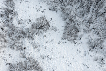Wall Mural - top view of the snow-covered ground and bushes. winter aerial view. natural background.