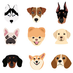 Vector image. The picture shows how the muzzles of dogs of different breeds, such as Labrador, Spitz, Doberman, Corgi, Beagle, Jack Russell, French Bulldog, Husky are drawn by hand.