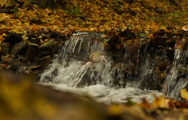 outdoor vibes in jena into nature at autumn