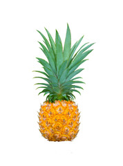 Wall Mural - Large pineapple (Ananas comosus) isolated on white background.