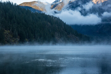 Wall Mural - a foggy morning landscape in north cascades national park in washington state.