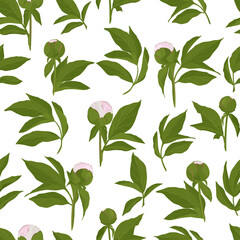 Wall Mural - Seamless texture with peony.