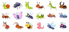 Cute Cartoon Insects. Funny Little Insect Characters Set Baby Snail, Smile Spider And Caterpillar, Little Ant, Colorful Butterfly And Comic Dragonfly, Vector Isolated Collection