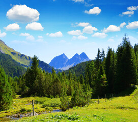 Wall Mural - beautiful mountain landscape near town bergun. albula region, canton graubunden, switzerland alps.