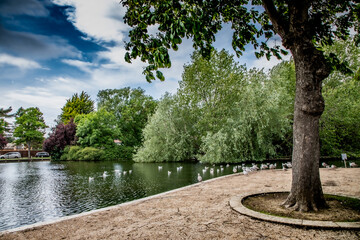 Poster - Nature Reserve Country Park