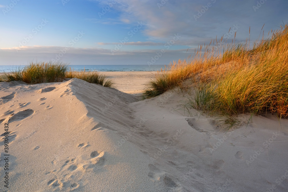 Morze Bałtyckie, plaża ,wydmy ,biały piasek,trawa,Kołobrzeg,Polska. - obrazy, fototapety, plakaty 