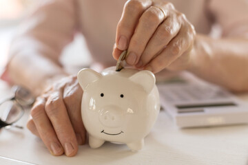 Wall Mural - Old women's hands put money coins in a piggy Bank, the concept of retirement, savings, savings, old age.