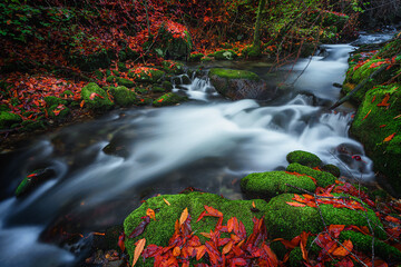 AUTUMN RIVER 2