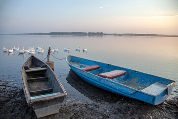 Naklejka na meble Foggy dawn over the lake. Boats on the shore. Ducks sail next to the boat.