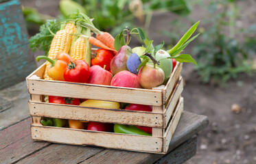 Wooden crate of organic farm vegetables and fruit on rustic table outdoor