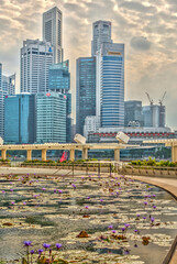 Poster - Downtown Singapore skyline, HDR Image