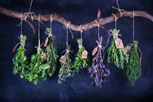 Hanging Bunches Of Edible Herbs With Signed Tags On A Curved Wooden Crossbar, Closeup On Black Background