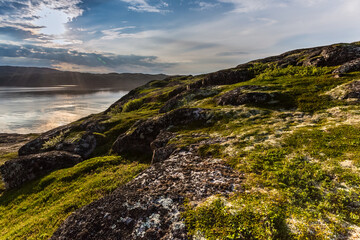 Poster - Coastline of Barents sea in northern polar summer. Arctic ocean, Kola Peninsula, Russia