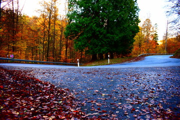 Canvas Print - kurvige Straße über die Hohe Acht im Herbst