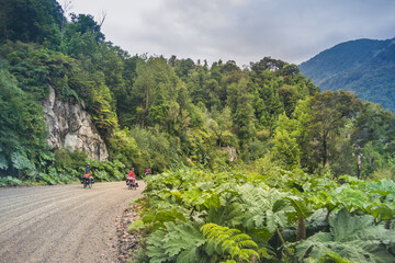 Queulat National Park / Aysen / Chile: Bike tour at Carretera Austral, Patagonia.