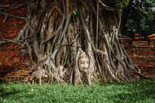 Ayutthaya Buddha Head Statue With Trapped In Bodhi Tree Roots At Wat Mahathat Temple Is Favorite Place Of Ayutthaya And World Heritage.