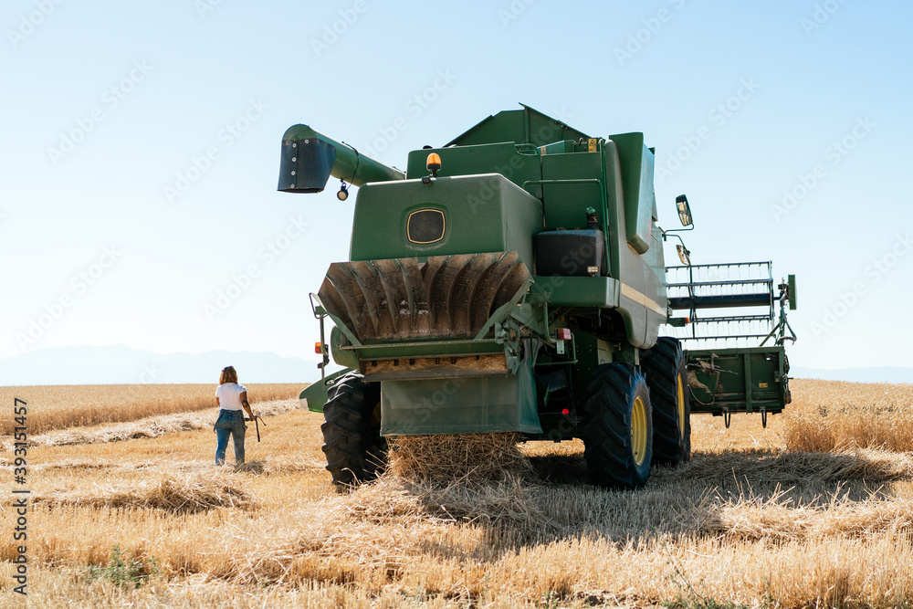Back view of unrecognizable female farmer walking along wheat field ...