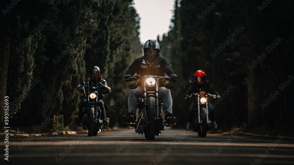 Group of bikers in black leather jackets and helmets riding powerful ...