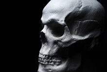 White Skull On Black Background 
