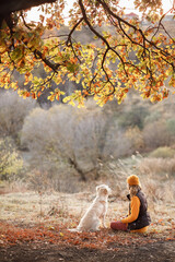 A woman with a dog sits under the branches of an oak tree and admires the autumn landscape