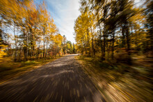 Scenic View Of Country Road Passing Through Autumn Forest