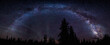 © Tandem Stock - Scenic view of milky way over trees at night