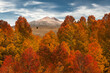 © Tandem Stock - Scenic view of autumn trees with Dunderberg Peak in background