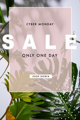 Wall Mural - Fresh tropical green leaves on white background with cyber Monday sale illustration