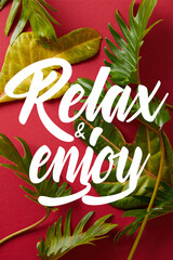 Wall Mural - top view of tropical green leaves on red background with relax and enjoy illustration