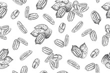 Seamless Pattern With Pecan Nuts. Line Art Style.